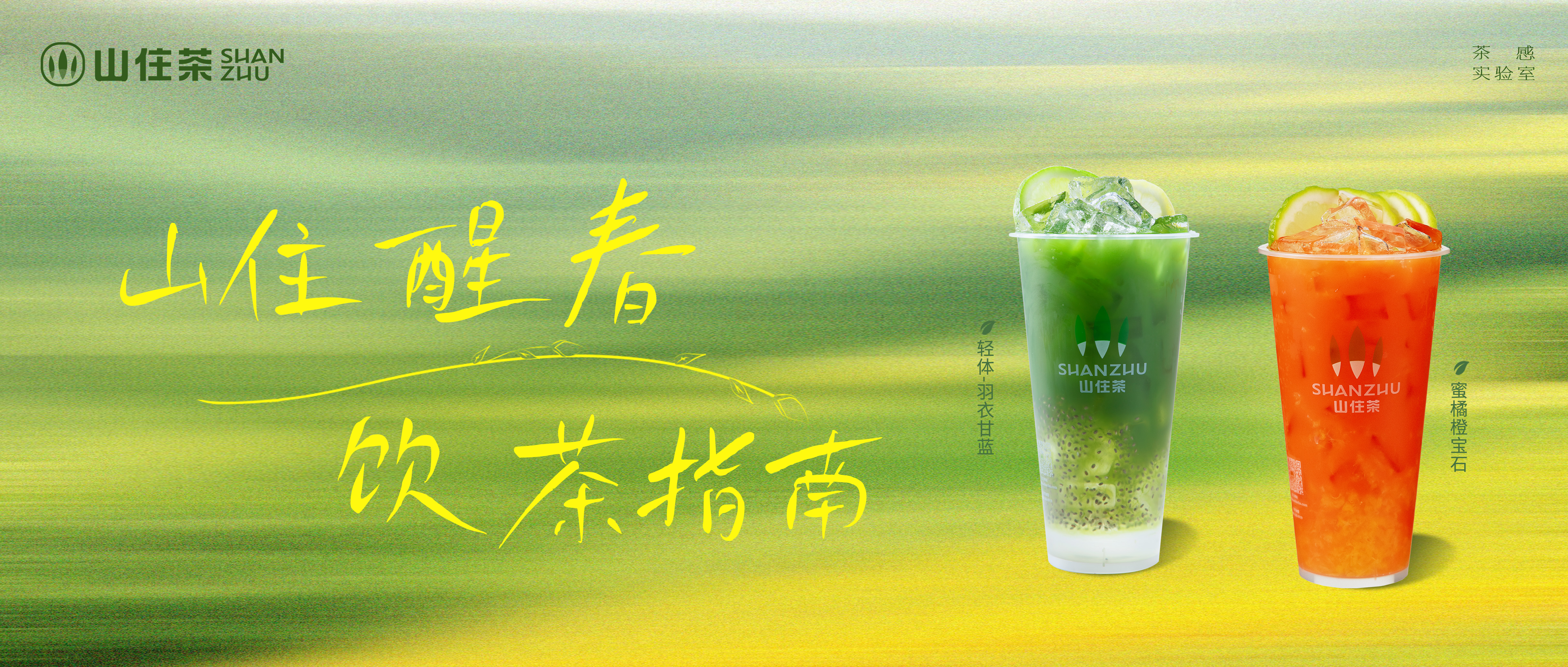 春日来信 | 山住茶邀你共饮一杯“健康春味”